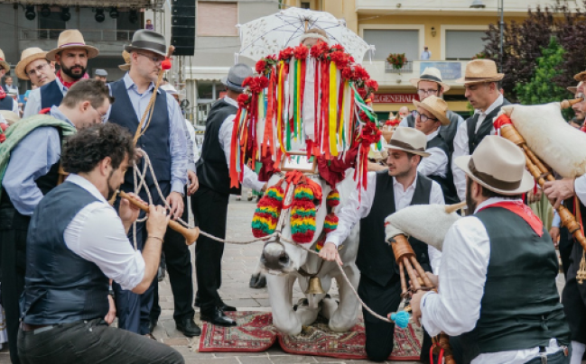 La festa di San Zopito