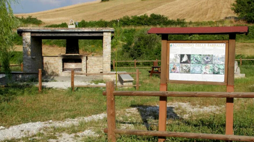 AREA PICNIC BORRELLO - foto Carmelita Cianci