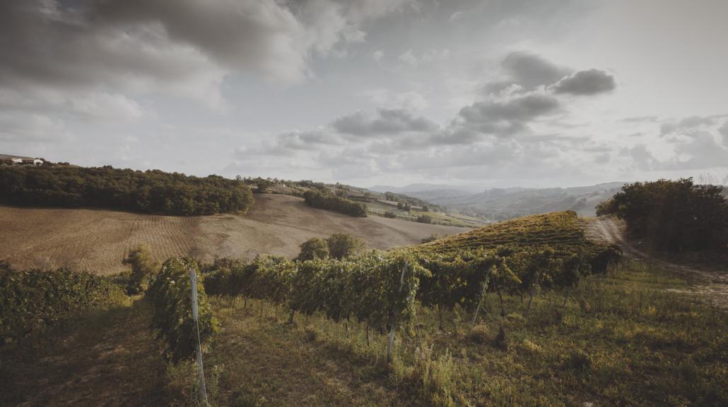 Tenuta Oderisio