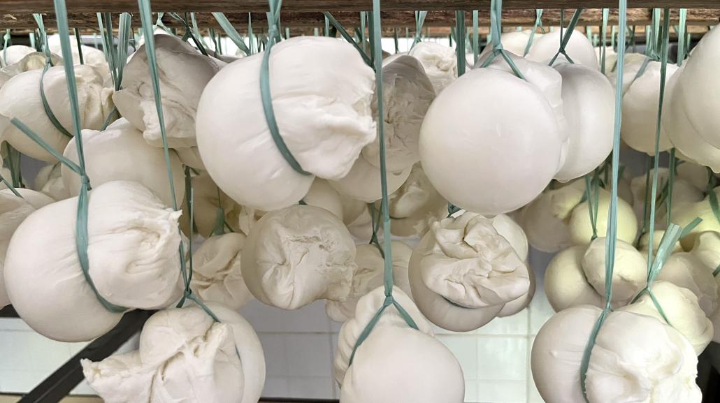 Scamorza
