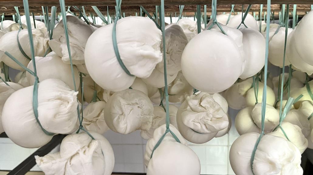 Scamorza