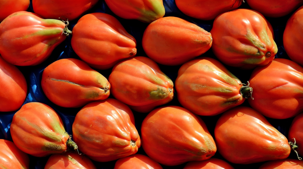 Pomodoro Pera d'Abruzzo