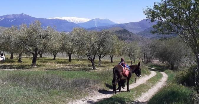 Fattoria Valle Magica