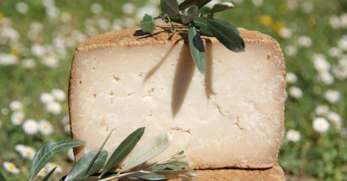 Stagionato di capra, affinato in una grotta calcarea con umidità naturale, su assi di faggio della Maiella. Sapore dolce e delicato.