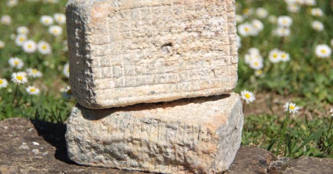 Cacioricotta di capra, prodotto pastorale che testimonia quanto i tratturi abbiano seminato saperi e prodotti. Aromi di lattico fresco, vegetale e fruttato con richiamo alla ricotta. 