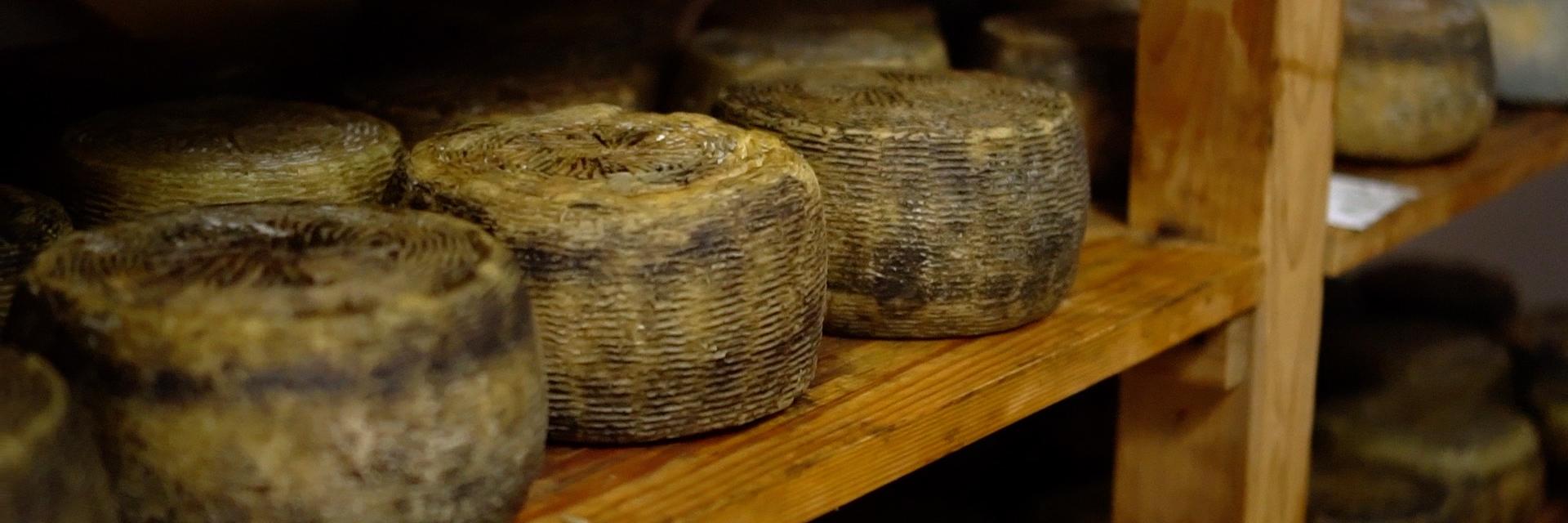 Pecorino di Farindola