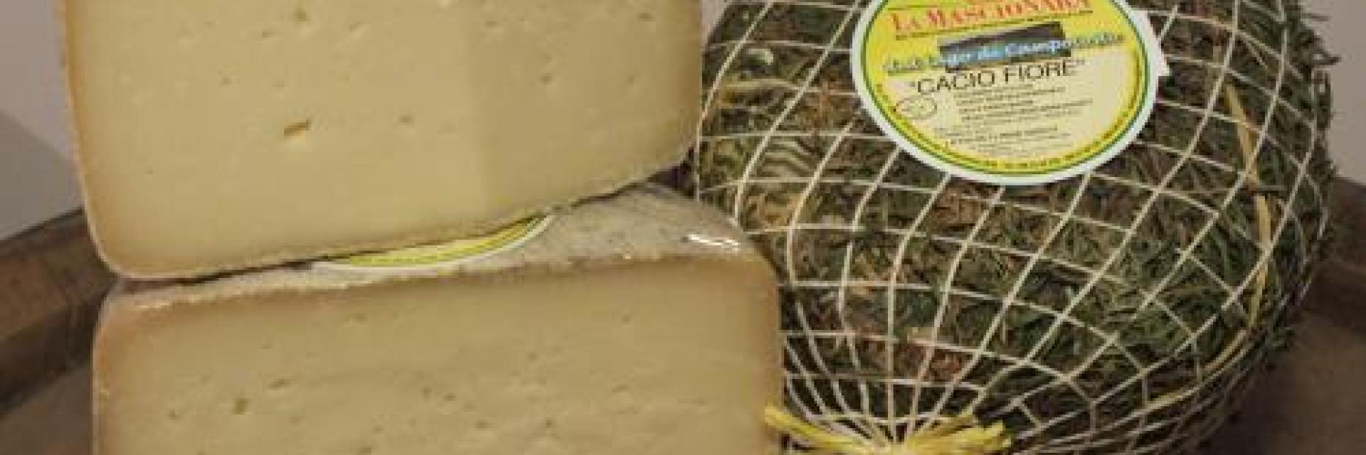 caciofiore