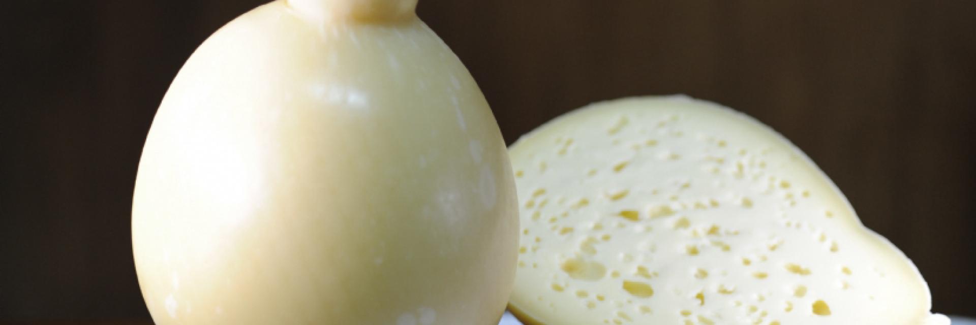 caciocavallo