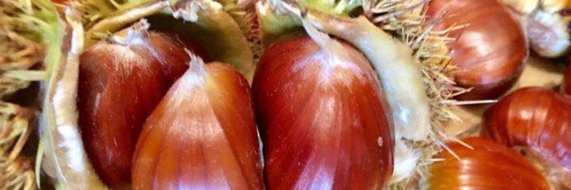 Castagna