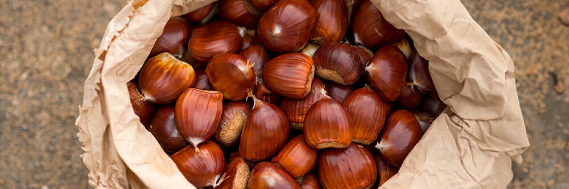 castagna roscetta